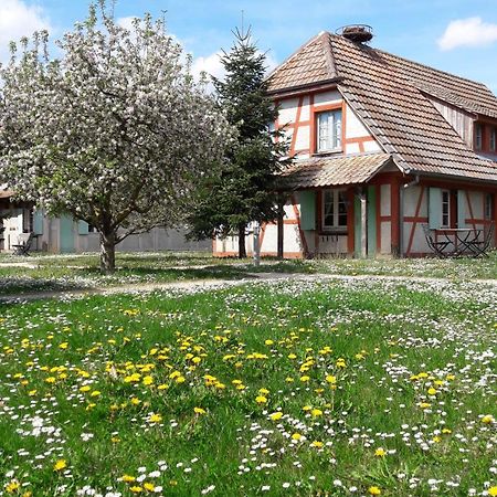 Les Loges De L'Ecomusee D'Alsace ウンガースハイム エクステリア 写真