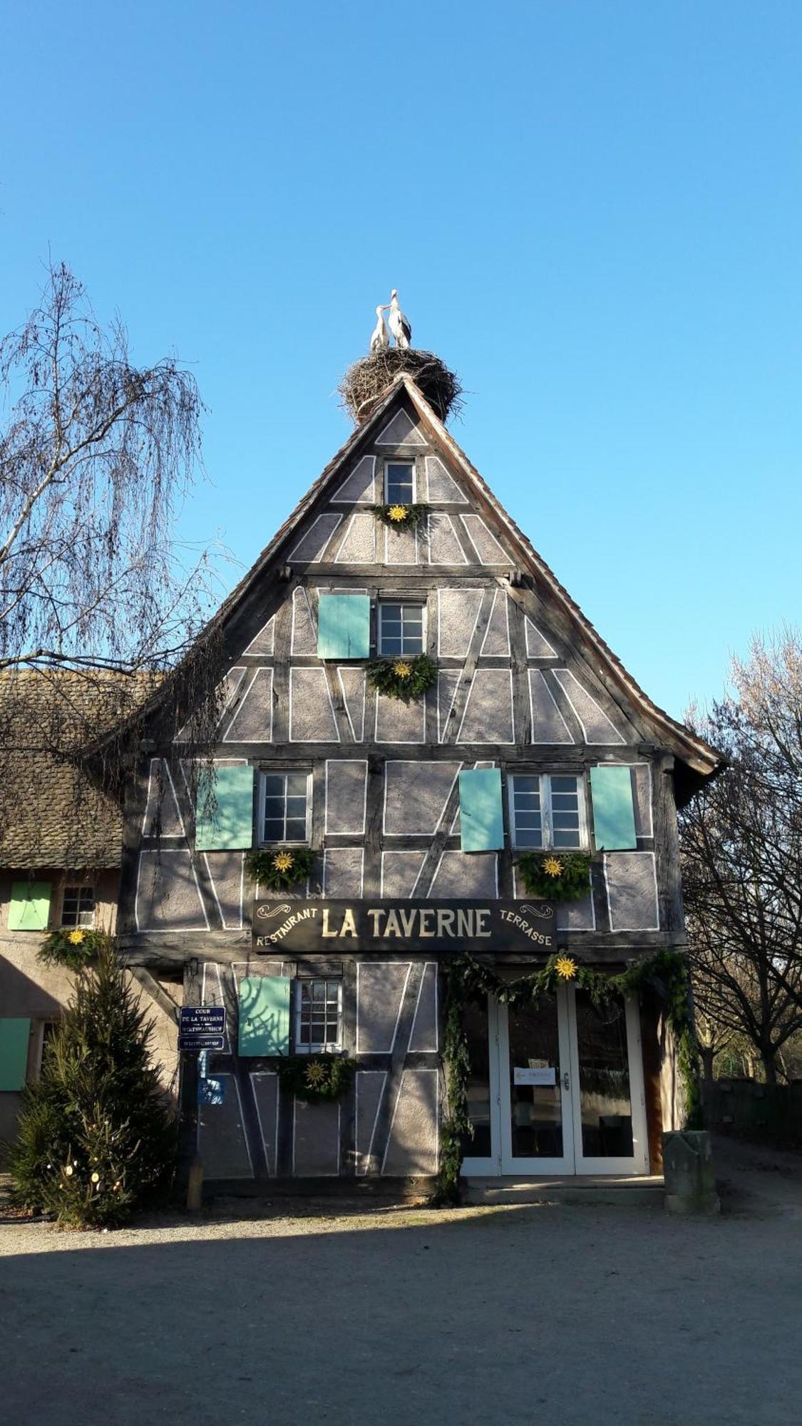 Les Loges De L'Ecomusee D'Alsace ウンガースハイム エクステリア 写真