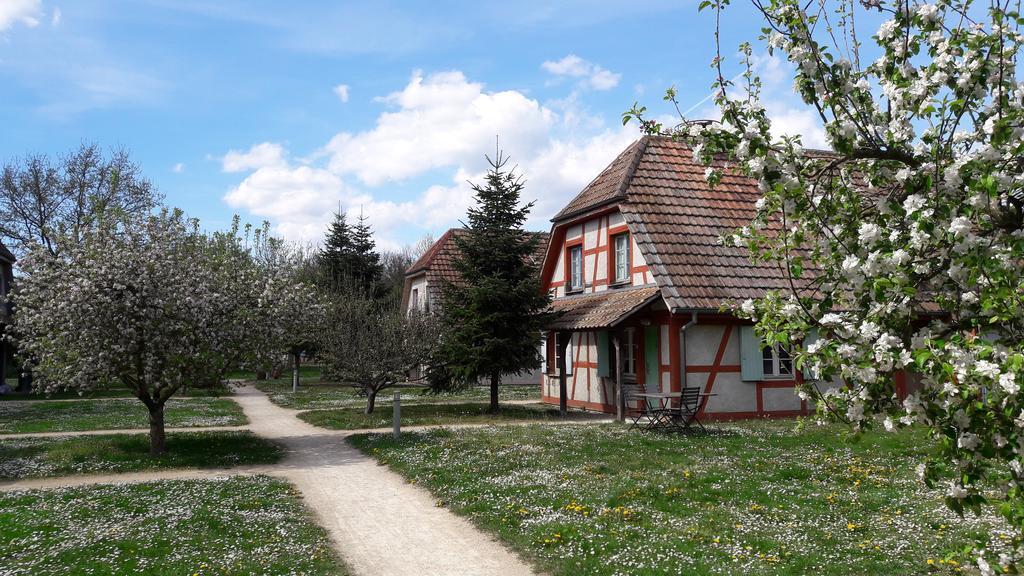 Les Loges De L'Ecomusee D'Alsace ウンガースハイム エクステリア 写真