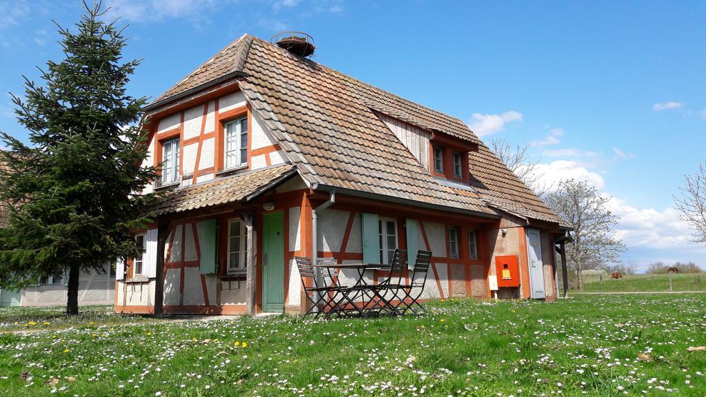 Les Loges De L'Ecomusee D'Alsace ウンガースハイム エクステリア 写真