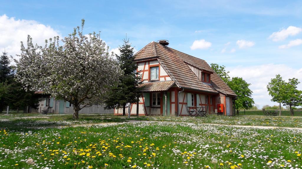 Les Loges De L'Ecomusee D'Alsace ウンガースハイム エクステリア 写真